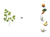 combined herb