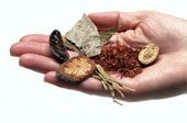 banner 2